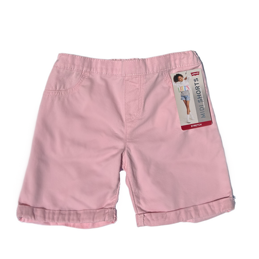 Levi's Shorts (10 Regular)